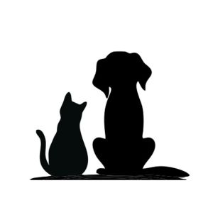 Dog and a Cat 