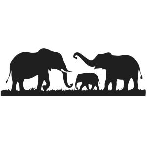 savannah elephants