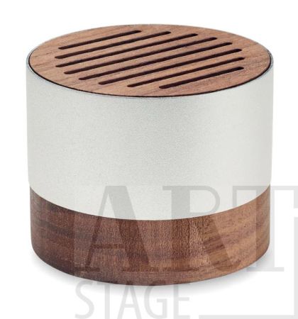Wireless speaker 